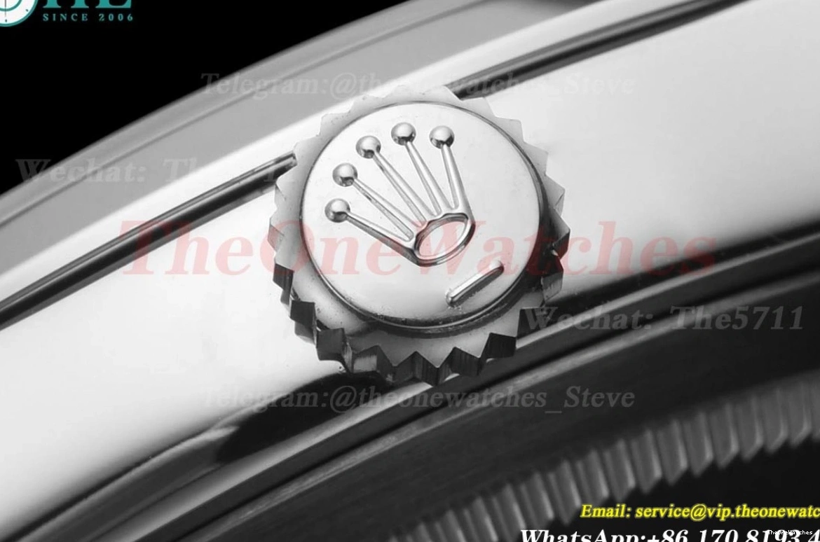 Black Explorer 40mm SS VS3230 224270 SS Dial VSF I 0129